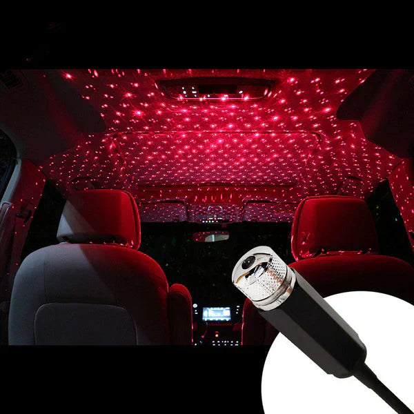 Lush™ Star Decoration Light